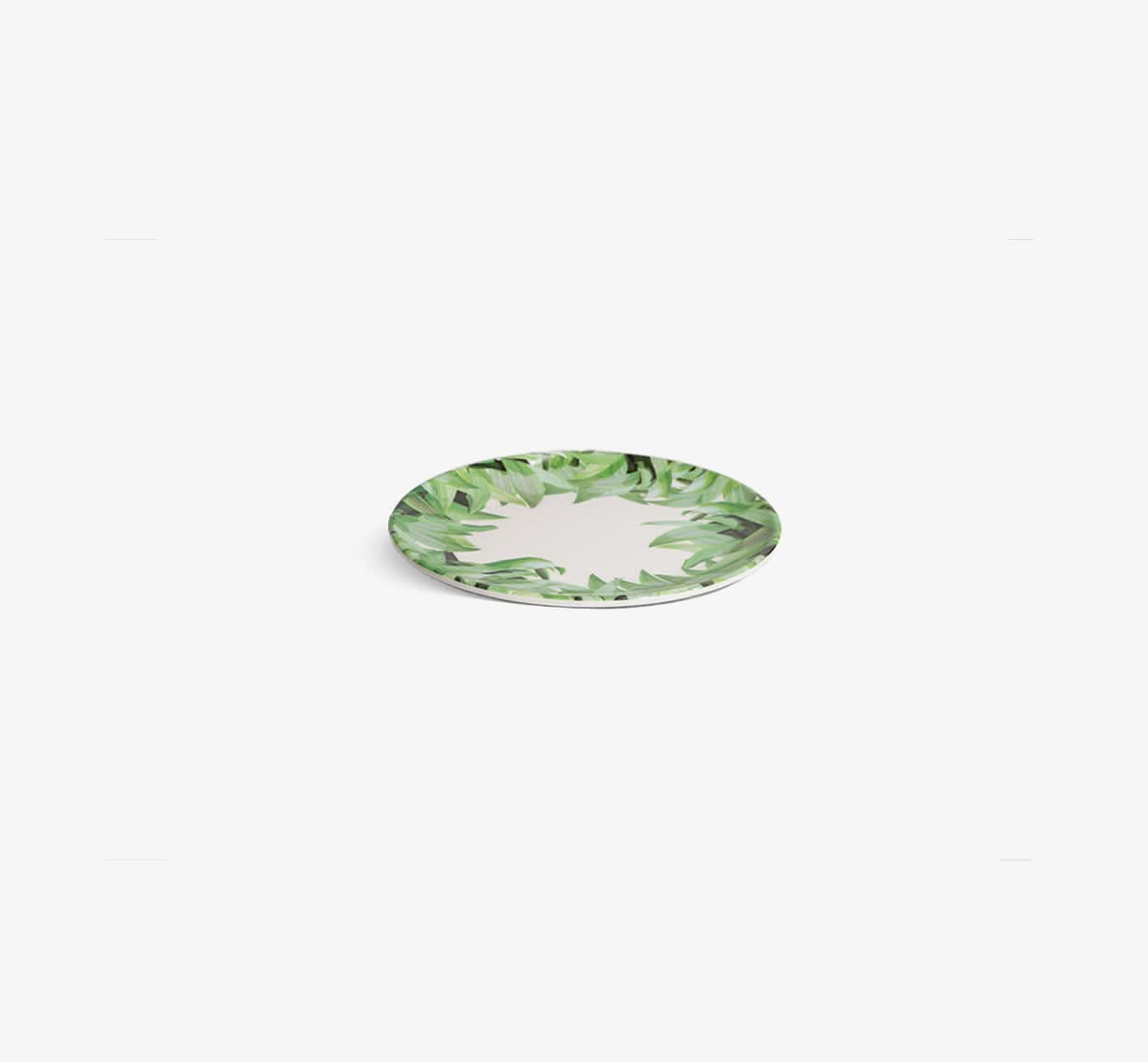 Pura Vida Salad Plate Set of 4
