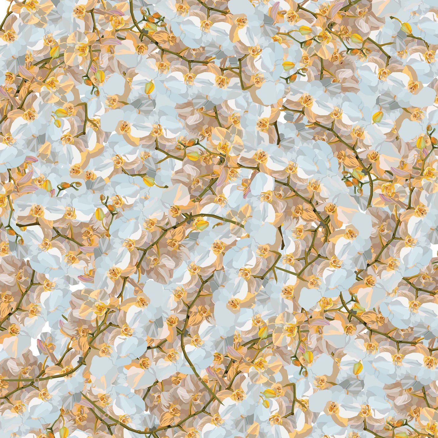 Cream Orchid Art Print